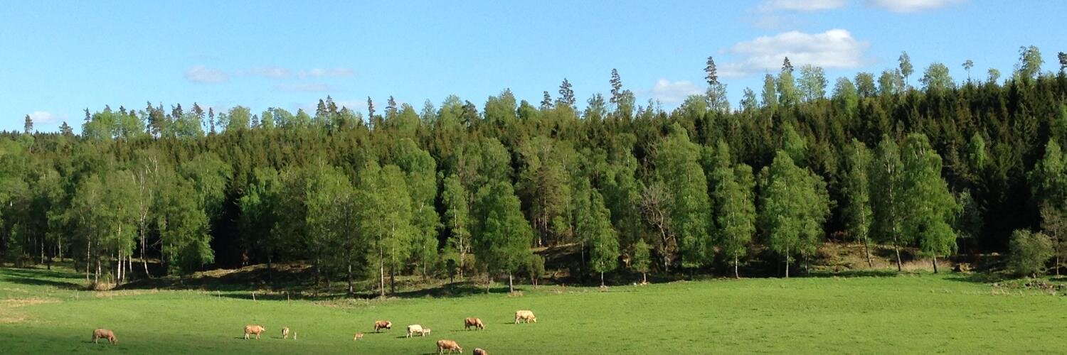 LindholmMaria's profile banner image