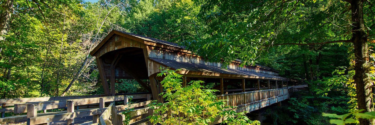 Ellen Bausback banner