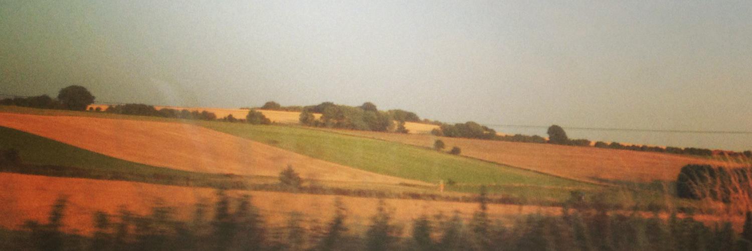 Bex1001's profile banner image