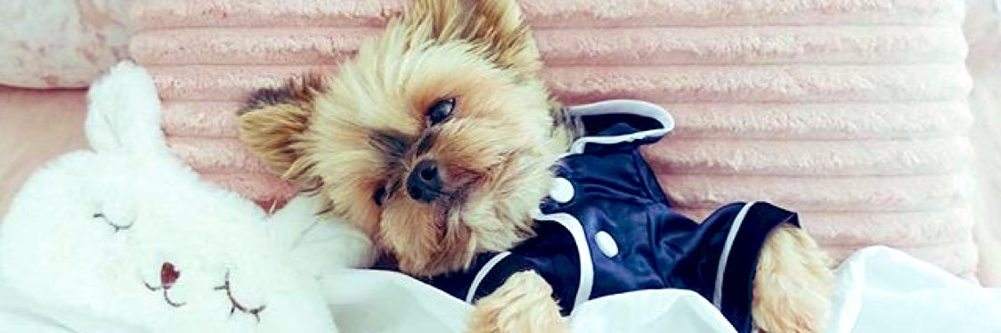 Paytonmichellec's profile banner image