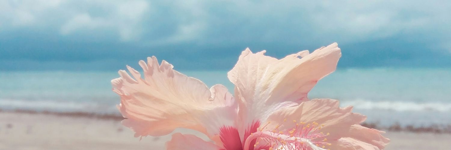 Flavinhaagra's profile banner image