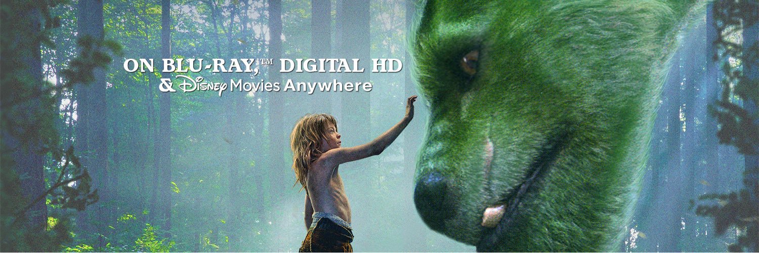 Pete's Dragon banner
