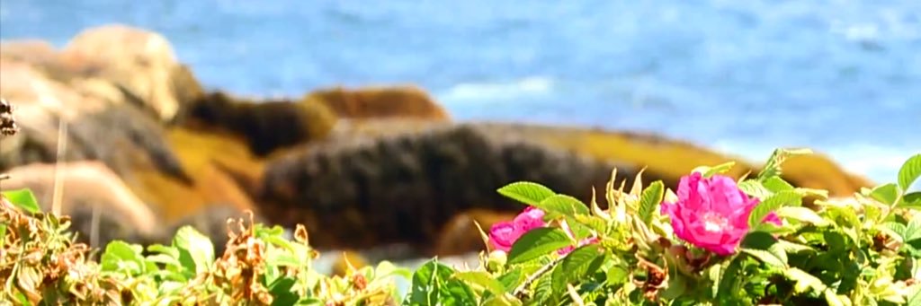 smagar001's profile banner image