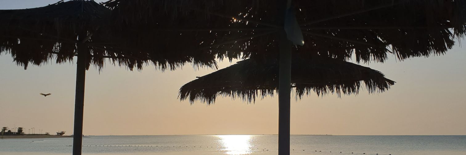 ibdkzz's profile banner image