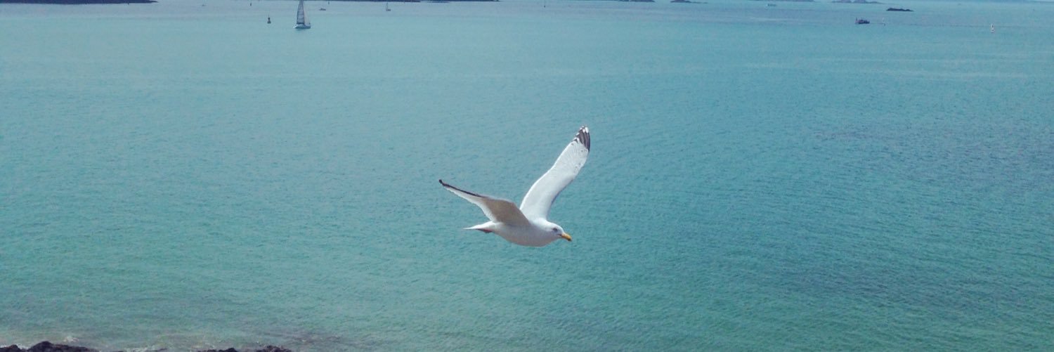 _marinen's profile banner image