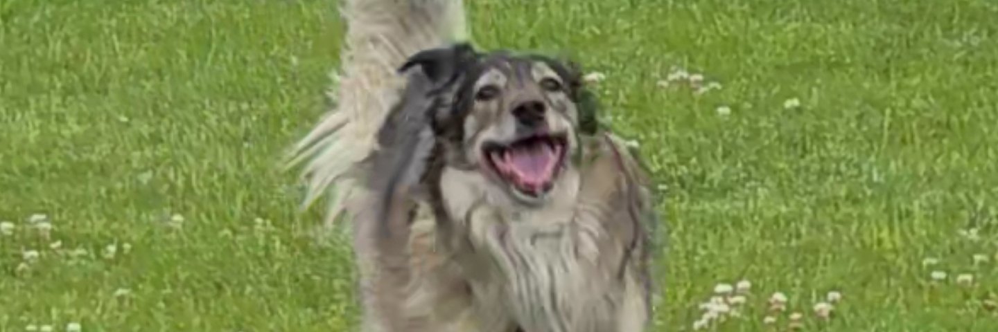 StrikingStrikes's profile banner image