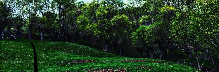 krhn1910's profile banner image