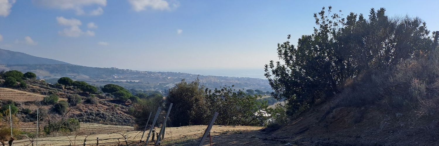 OSCAR banner