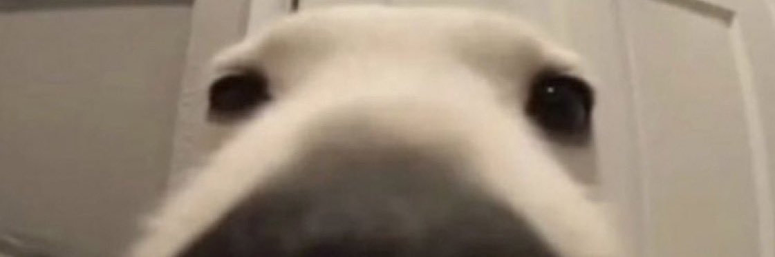 voluptuousfart's profile banner image