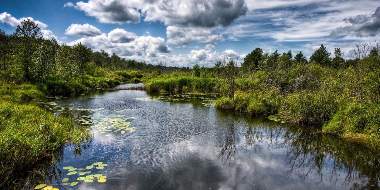 Анатолий Кучерявый banner