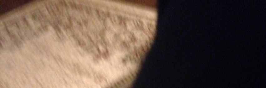 Thegr8DANEBOI's profile banner image