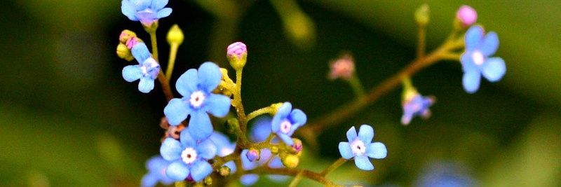 bee_afra's profile banner image