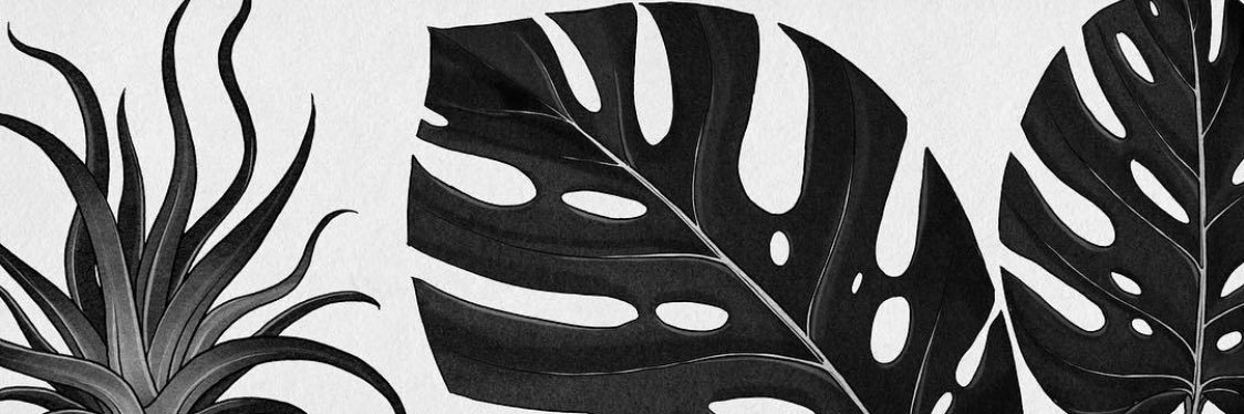 Bibiric0's profile banner image