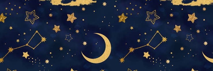 shainechain's profile banner image