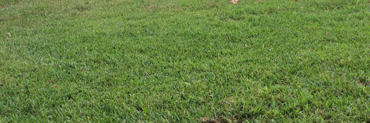 ingefito's profile banner image