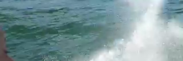 MagellanRules's profile banner image
