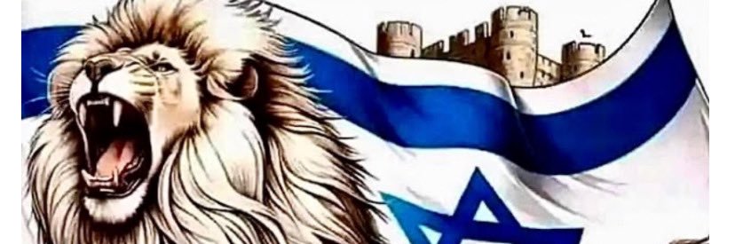 Double Elle 🇮🇱✡️🇺🇸 banner