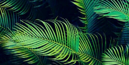 LNiemcz's profile banner image