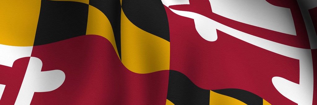 ChrisALee15's profile banner image
