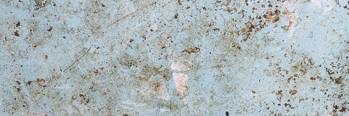 SaskiaFreye's profile banner image