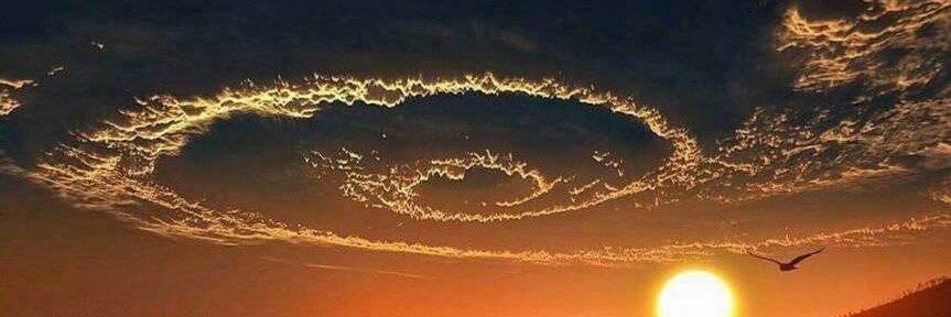 Dr Shyam Sundaram banner