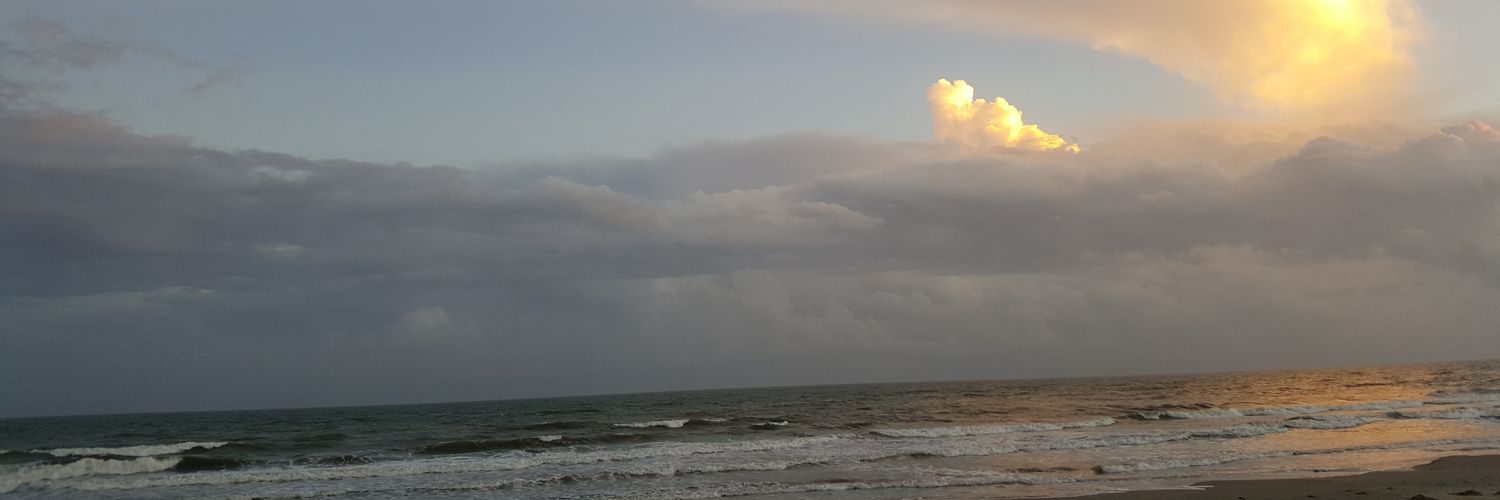Zeph_29's profile banner image