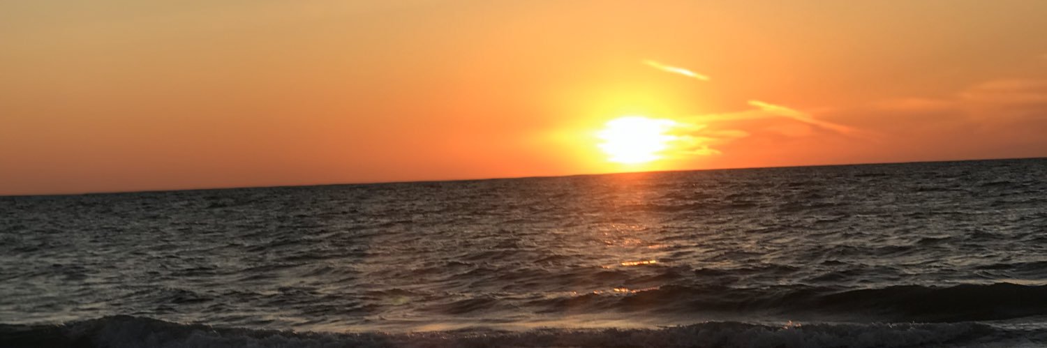 that_human_sid's profile banner image