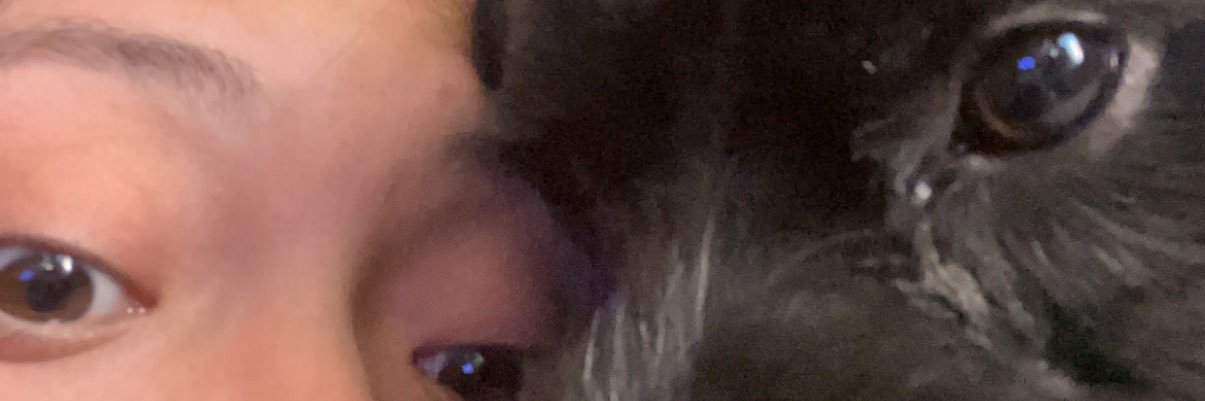 andreaglupe's profile banner image