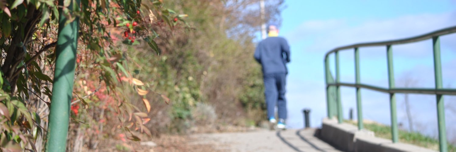 Megan Mitchell, DPT banner