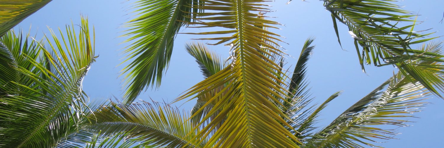 ZumbaMagicMike's profile banner image