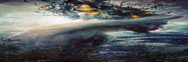 Doug Howery banner