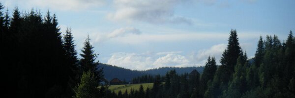 Bojanissima Profile Banner