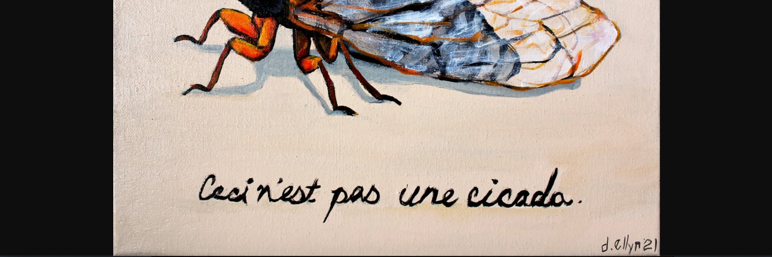 Charlotte Blattner banner