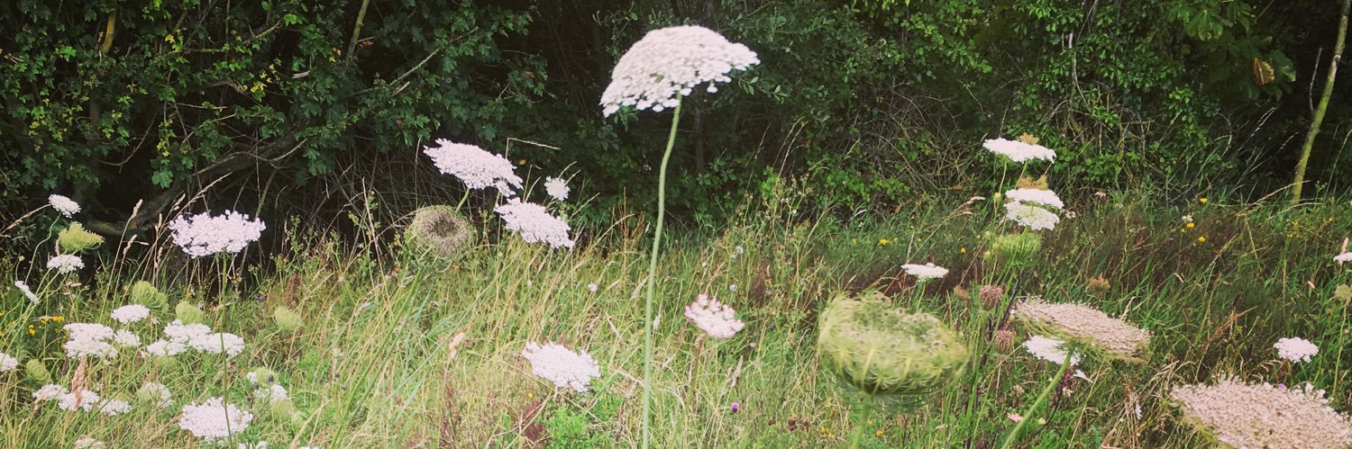 𝙼𝚒𝚜𝚜 𝙼𝚘𝚘𝚗 🕊 banner