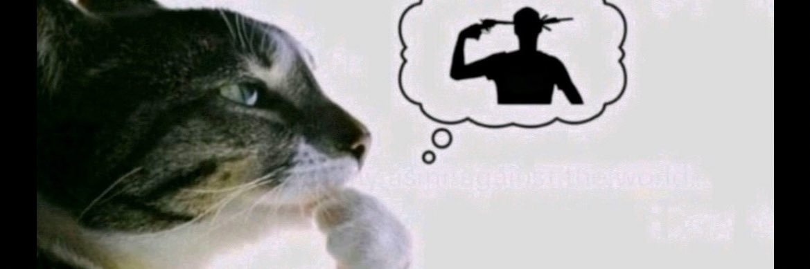negropiolado's profile banner image