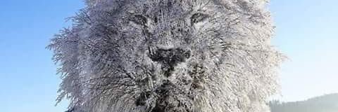 Tfarain's profile banner image