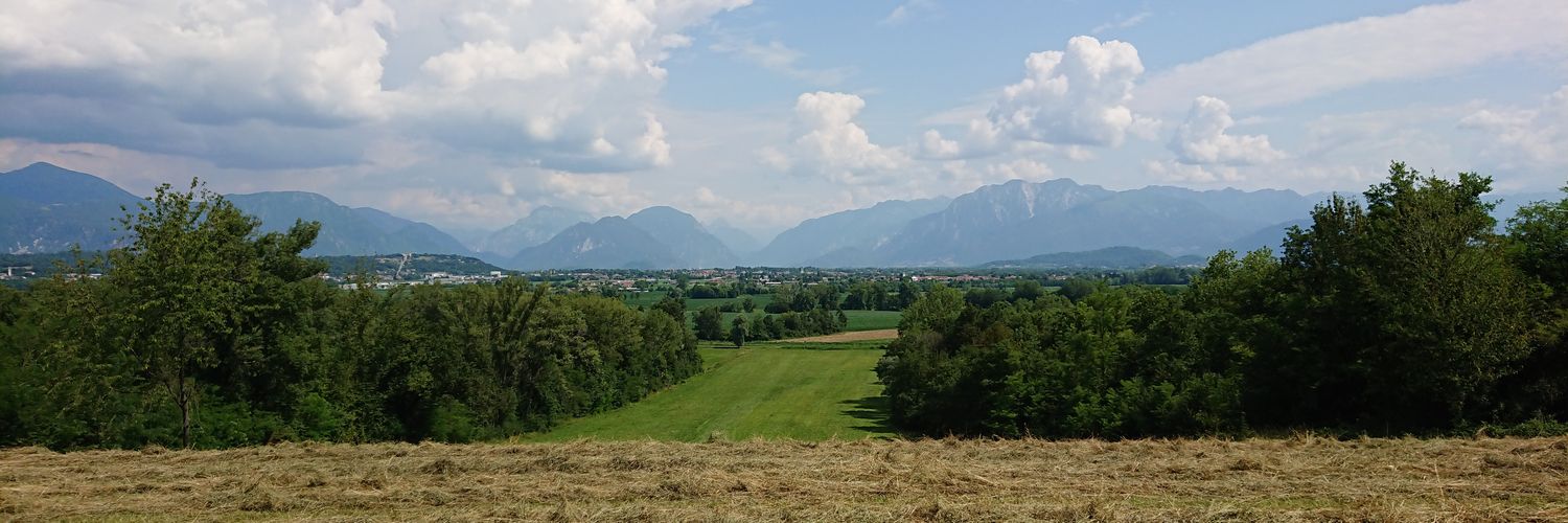 Alex Cargnelutti banner