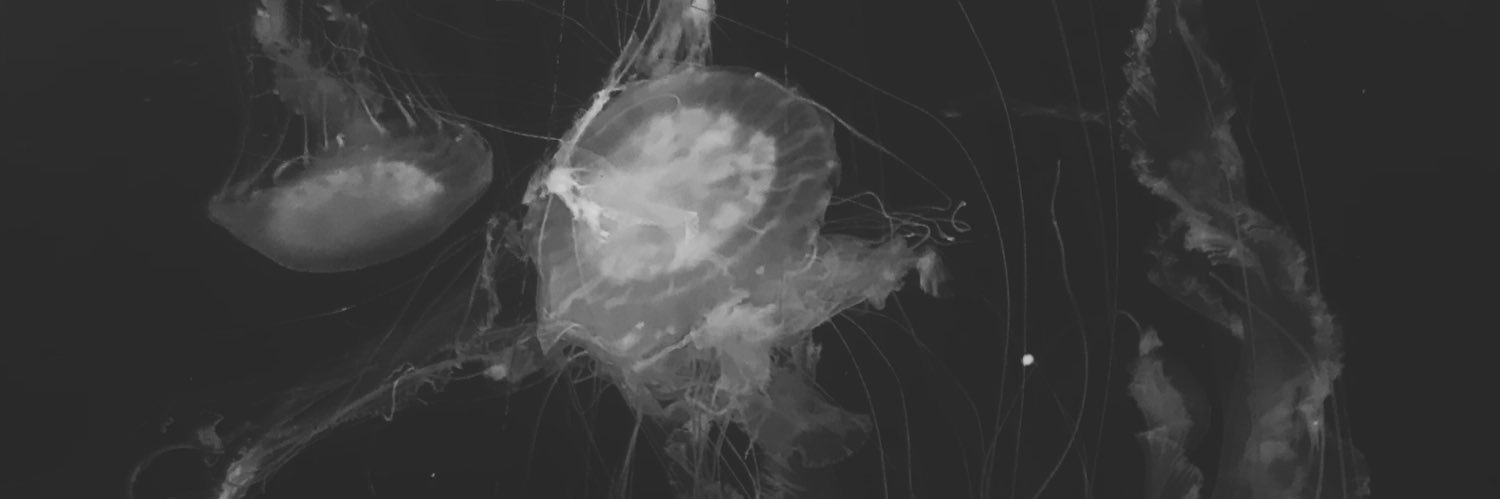 Mluisa574's profile banner image