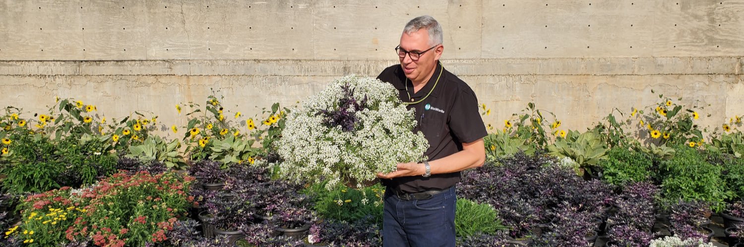 Ronald Valentin banner