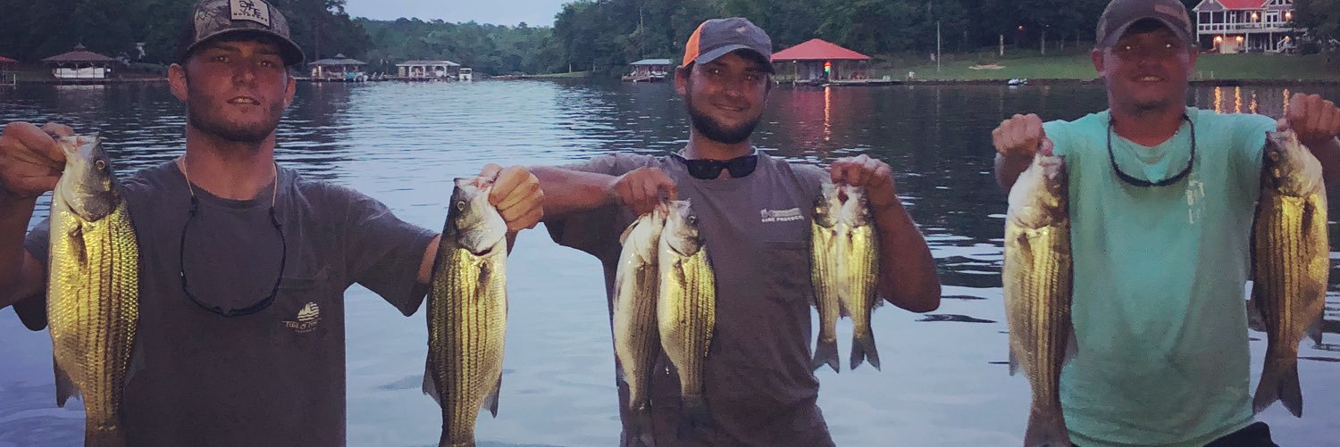 lee_kolton's profile banner image