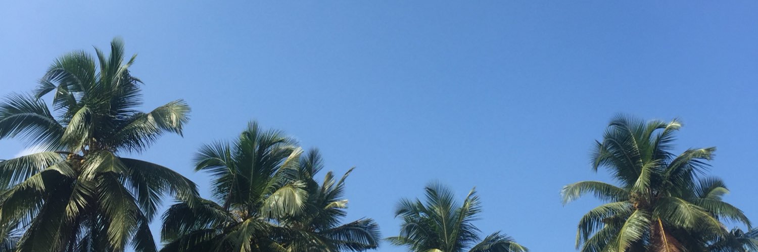 Stephanie_Cocks's profile banner image