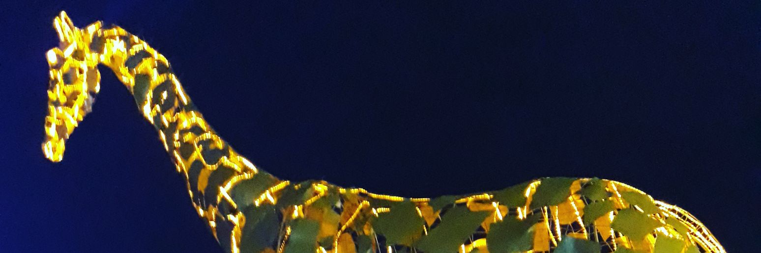 chegeevans's profile banner image