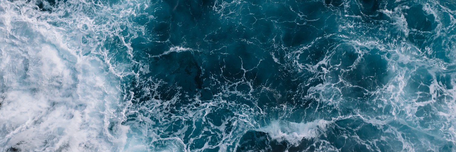 Stacey McCormack banner