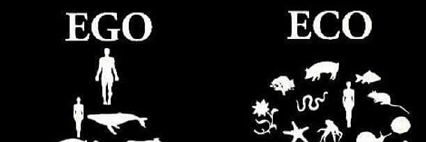 quintocent's profile banner image