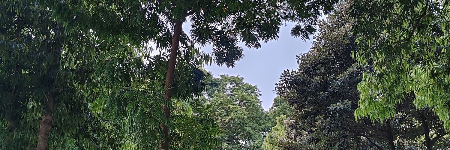 lukiariya's profile banner image