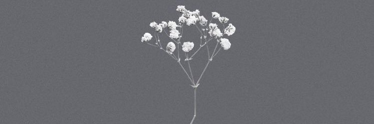_a_ars's profile banner image