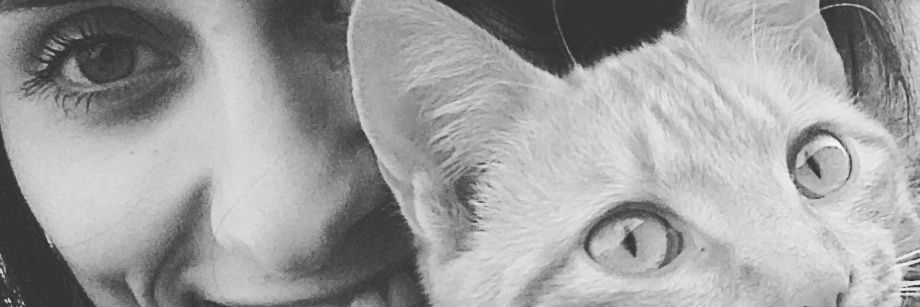 S o n r i s a s banner