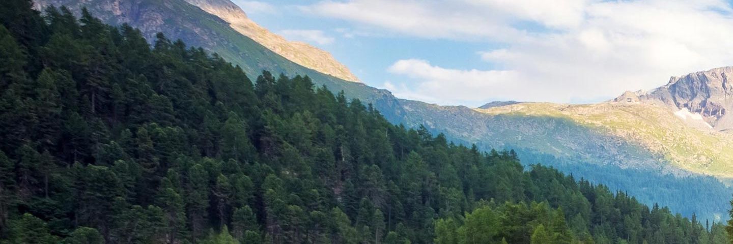 erickmuri1's profile banner image