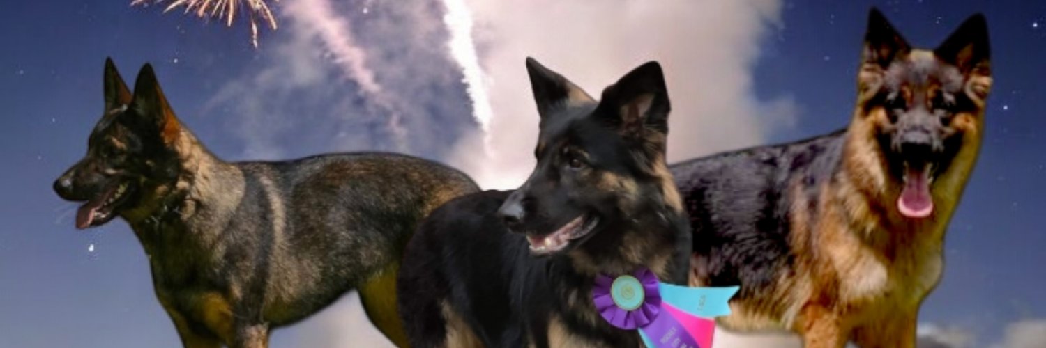 PersevereKennel's profile banner image
