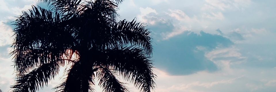 CoryGrandon's profile banner image